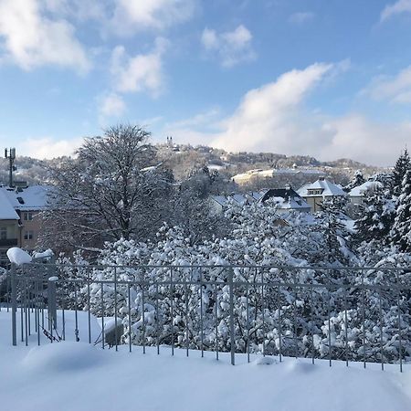 Stadtoase Mit Traumhaftem Ausblick Линц Екстериор снимка