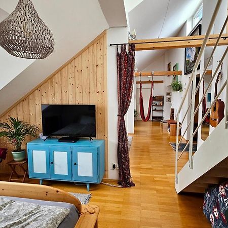 Stadtoase Mit Traumhaftem Ausblick Линц Екстериор снимка
