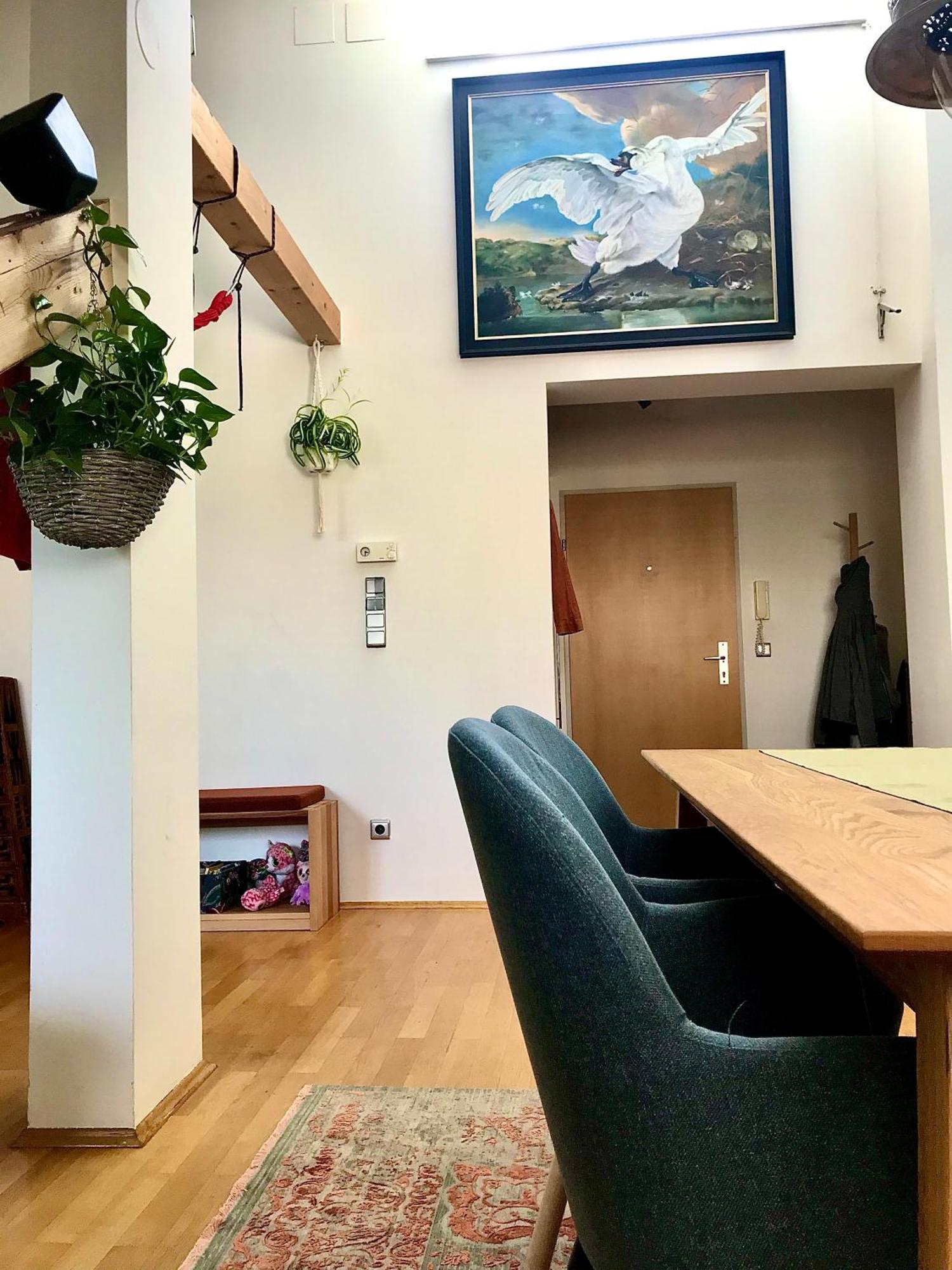 Stadtoase Mit Traumhaftem Ausblick Линц Екстериор снимка